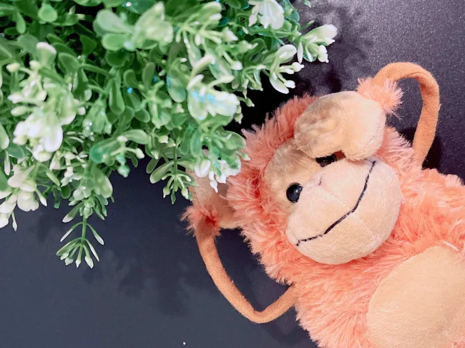 伴心理諮商所的吉祥物猴子玩偶與綠色植物